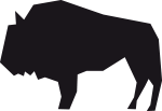 bison-buffalo